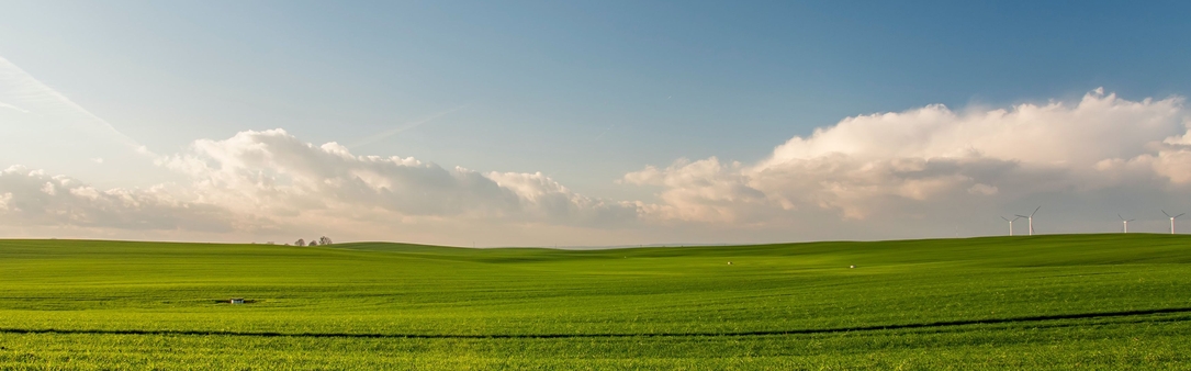 Clouds and green field